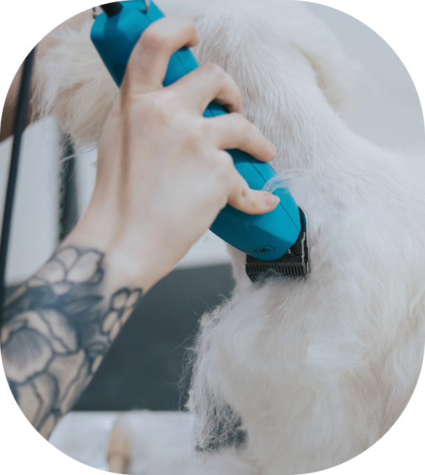 Dog Grooming Port Melbourne