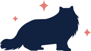 Cat Grooming Mornington